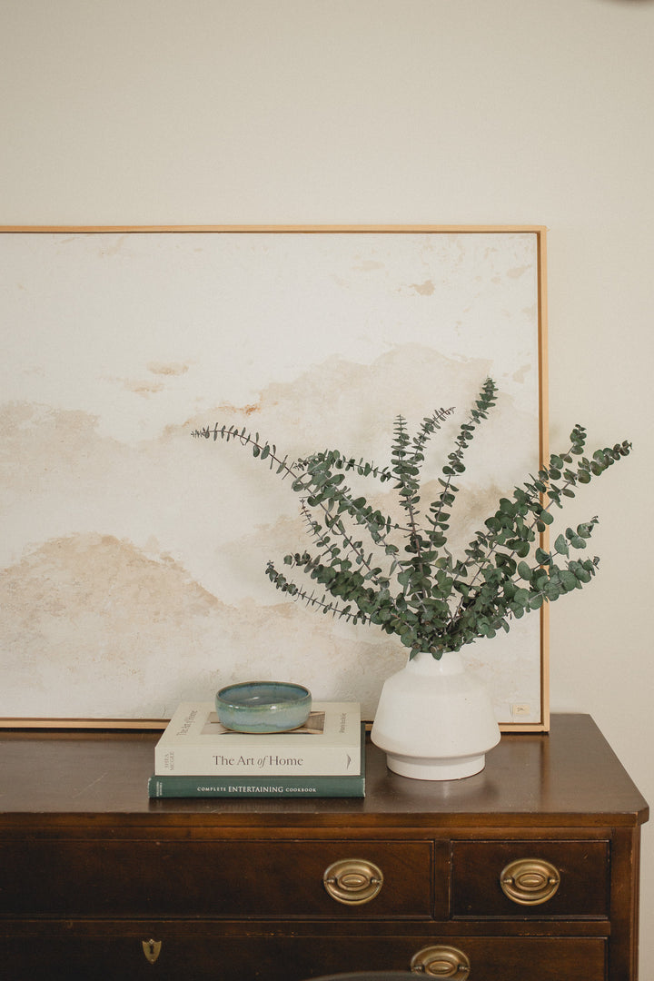 Italian Baby Eucalyptus