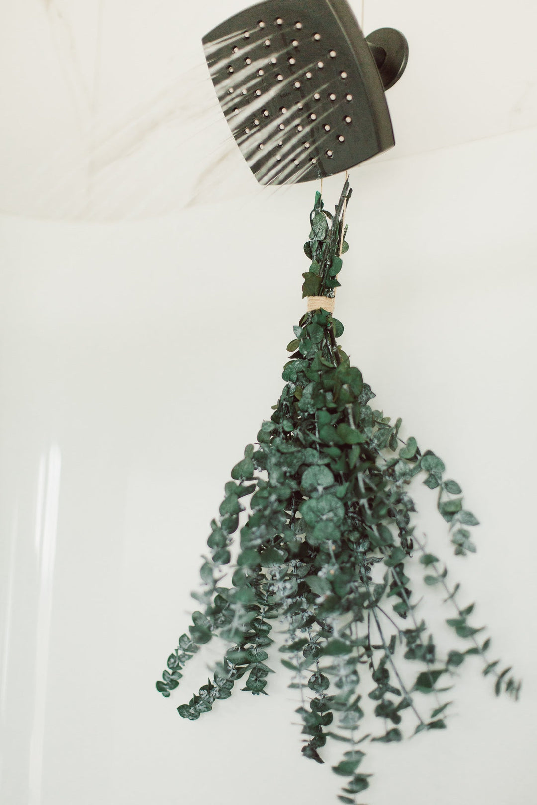 How to Use and Care for Your Eucalyptus Shower Bundle