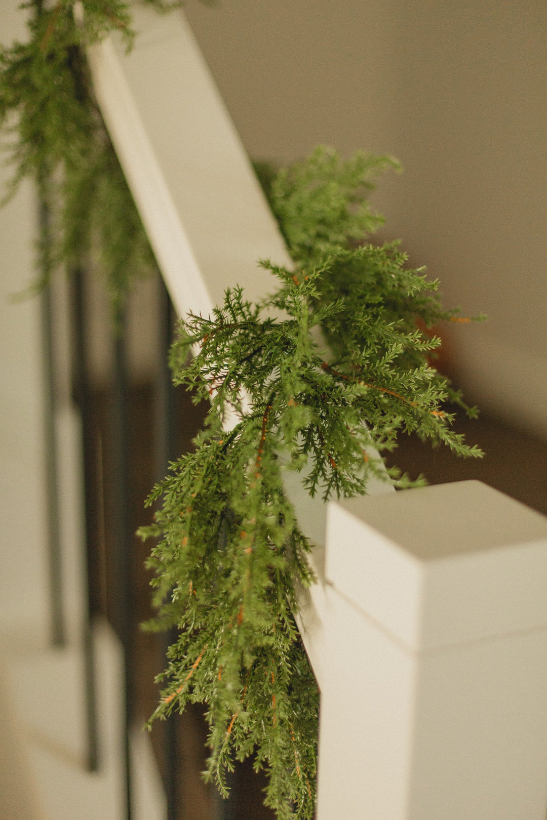 norfolk and cedar bundles styled together