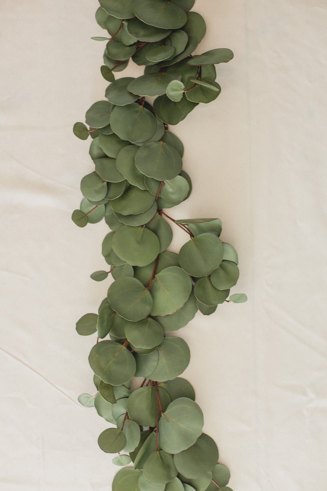 Eucalyptus Garland Rental