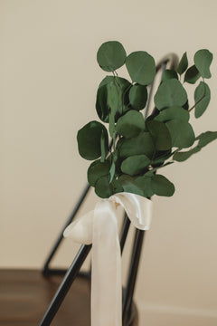 Eucalyptus Chair Accent Rental