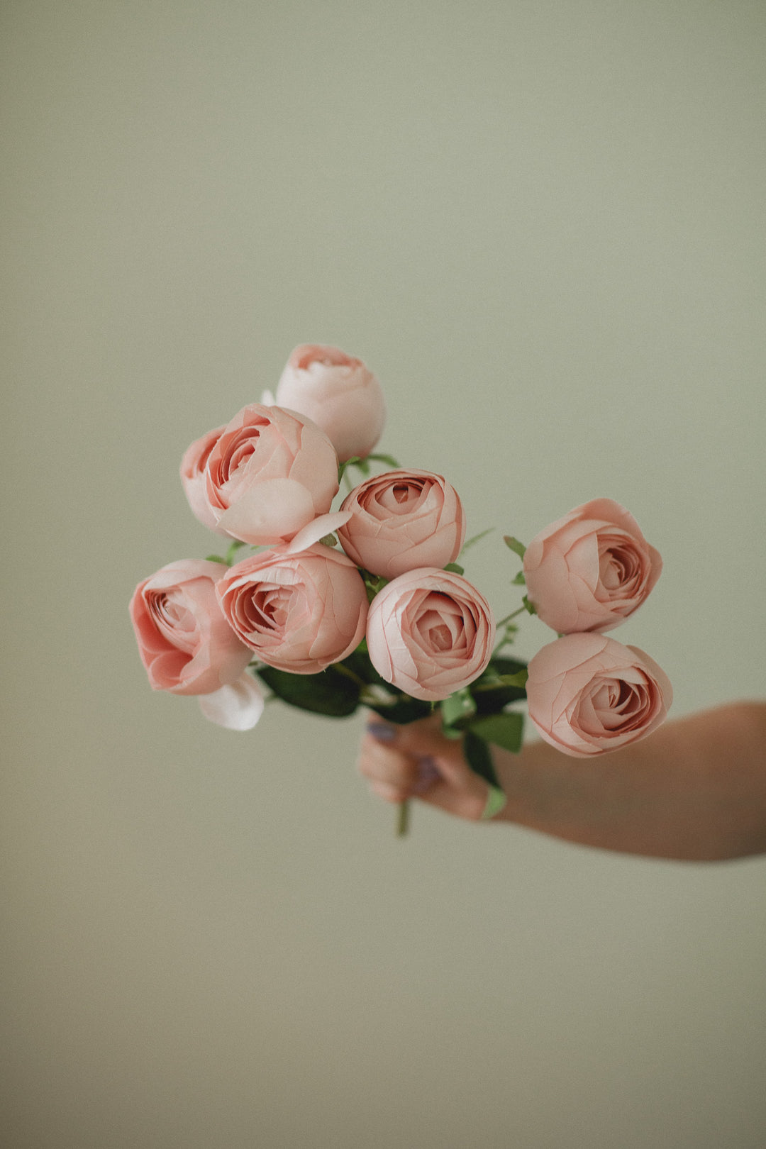 Perfect Peony Bundle