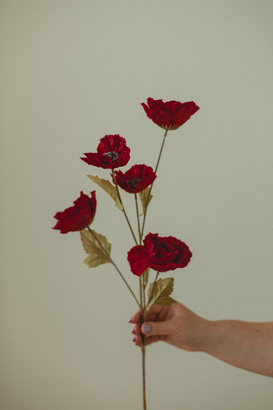 Large Poppy Stem