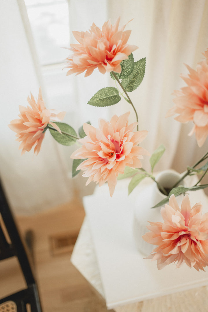 Dahlia