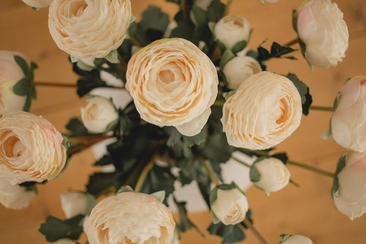 Ranunculus