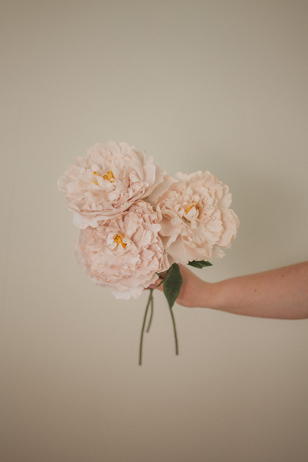 London Peony