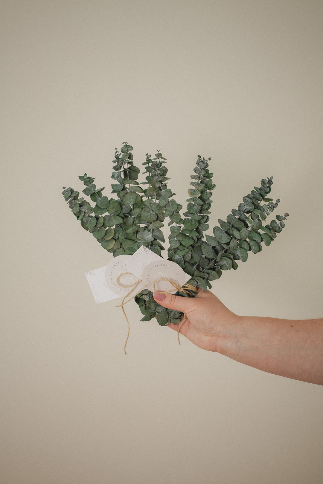 Mini Bundle
