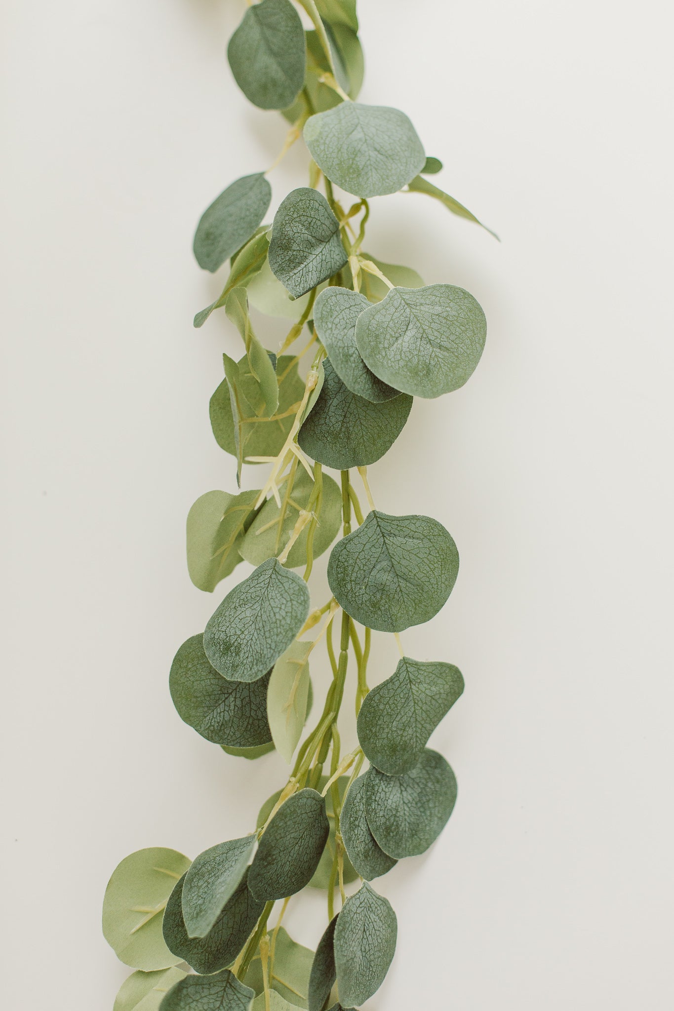 Eucalyptus Garland Rental