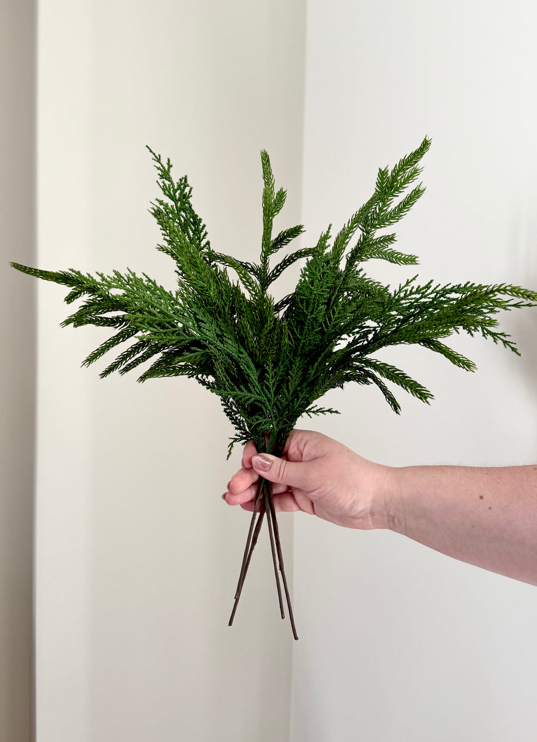 Norfolk and Cedar Bundles