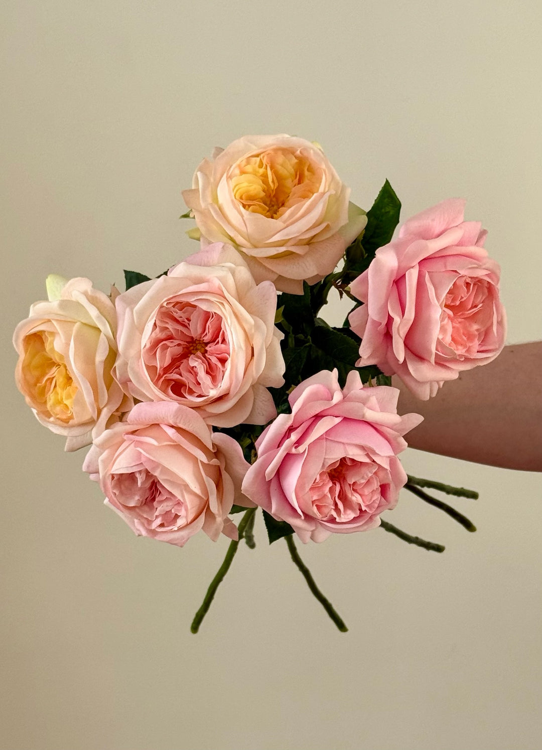 Real Touch Austin Rose