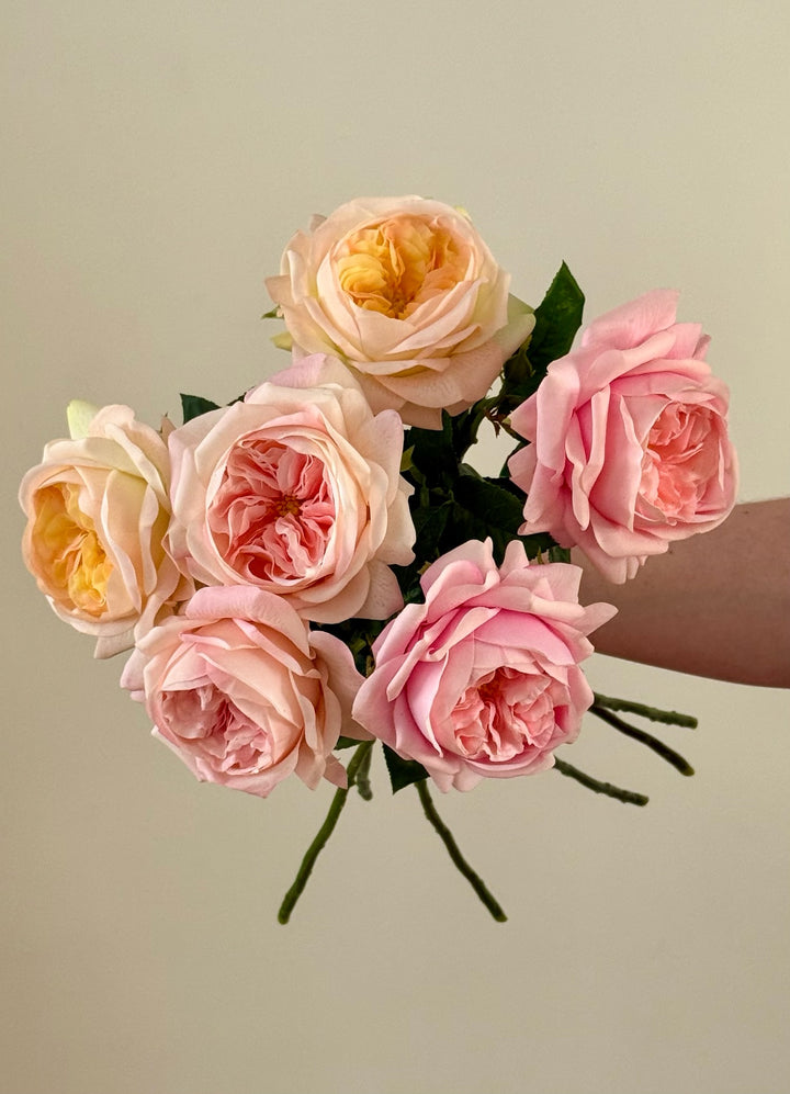 Real Touch Austin Rose