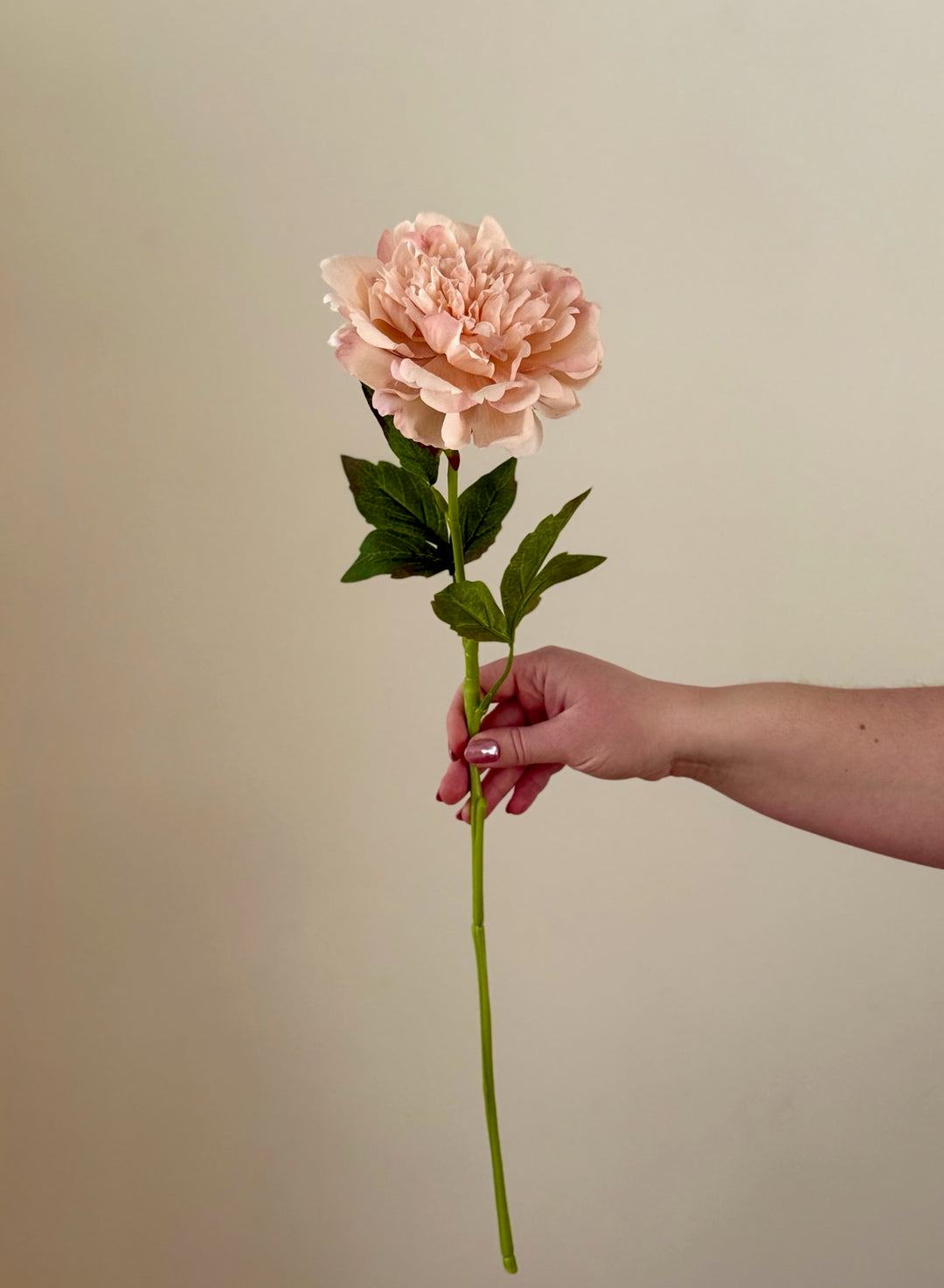 Real Touch Mountain Peony