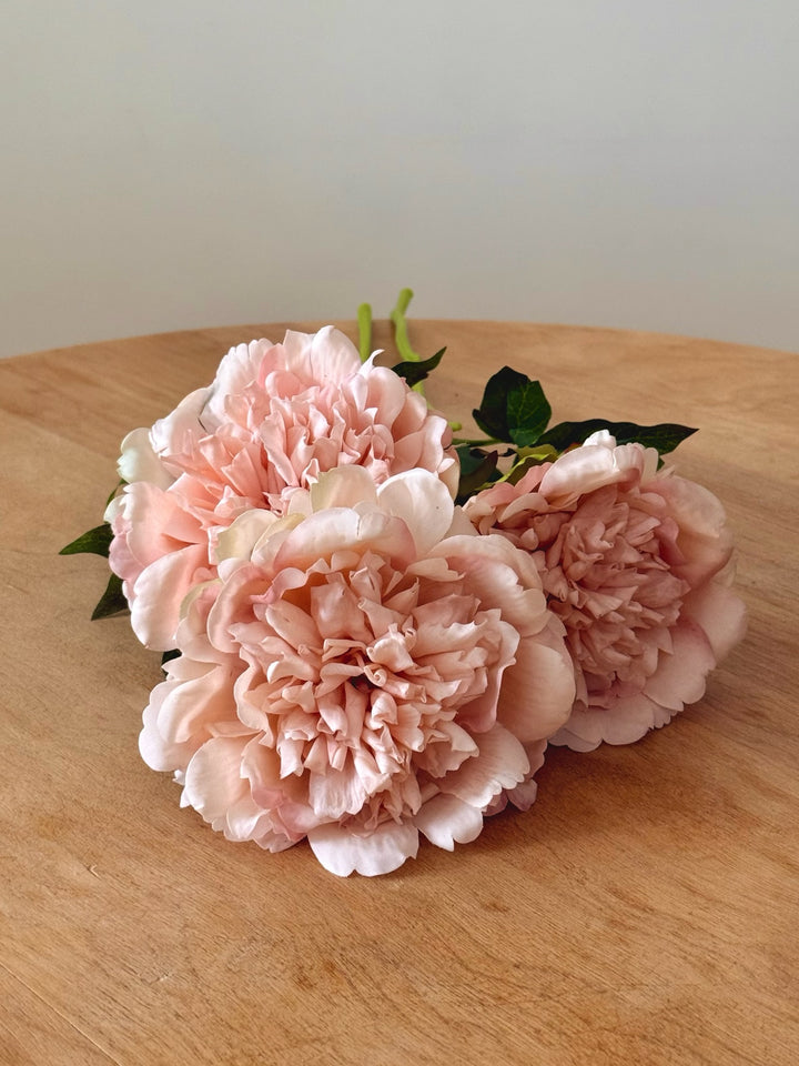 Nude Pink real touch peony flowers on a wooden surface with a plain background