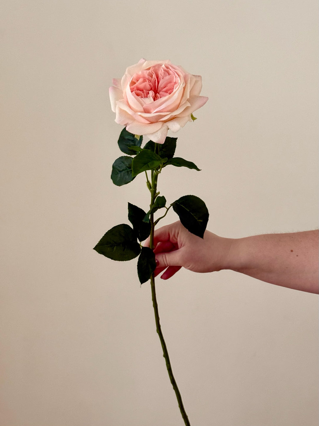 Real Touch Austin Rose