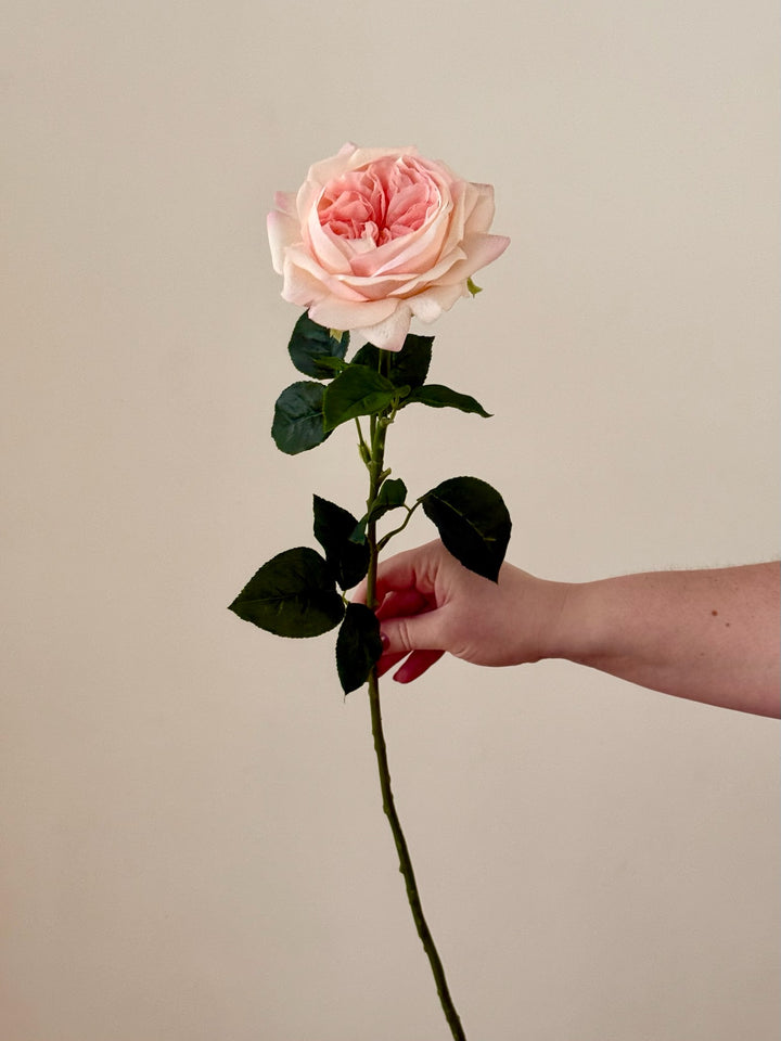 Real Touch Austin Rose