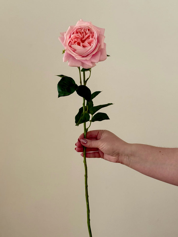 Real Touch Austin Rose