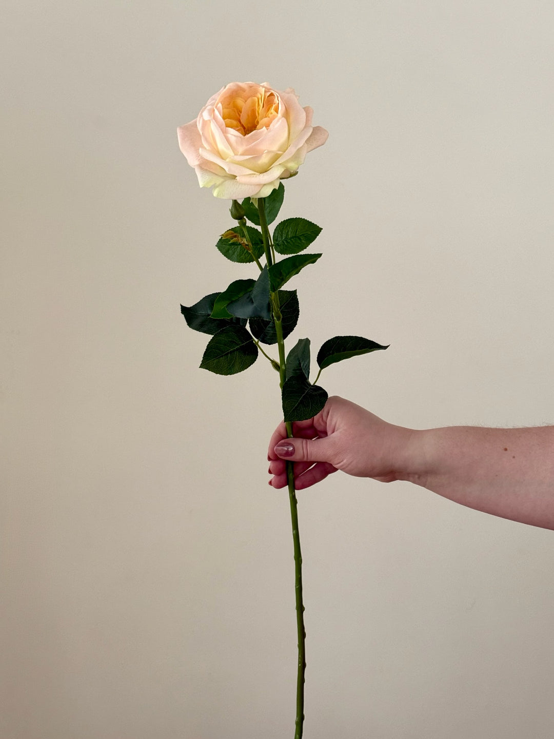 Real Touch Austin Rose