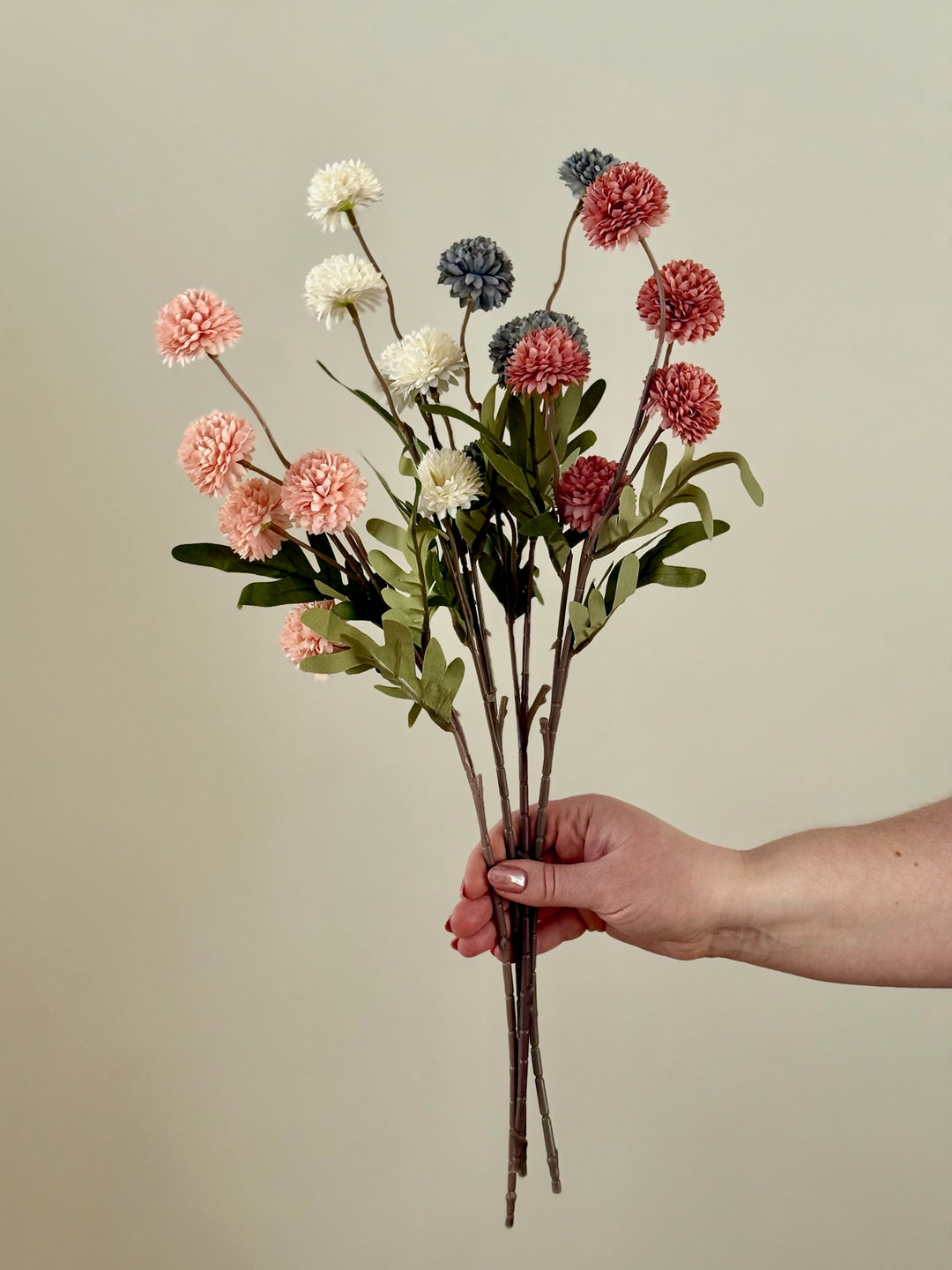 Chrysanthemum Branch