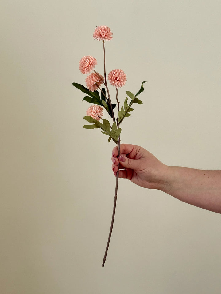 Chrysanthemum Branch