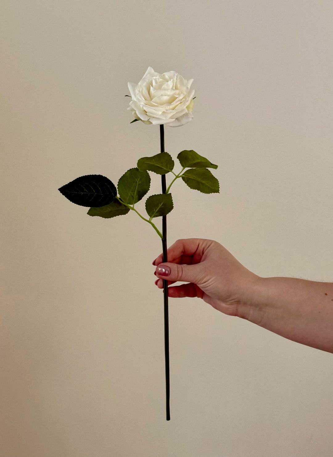 Real touch Garden Rose