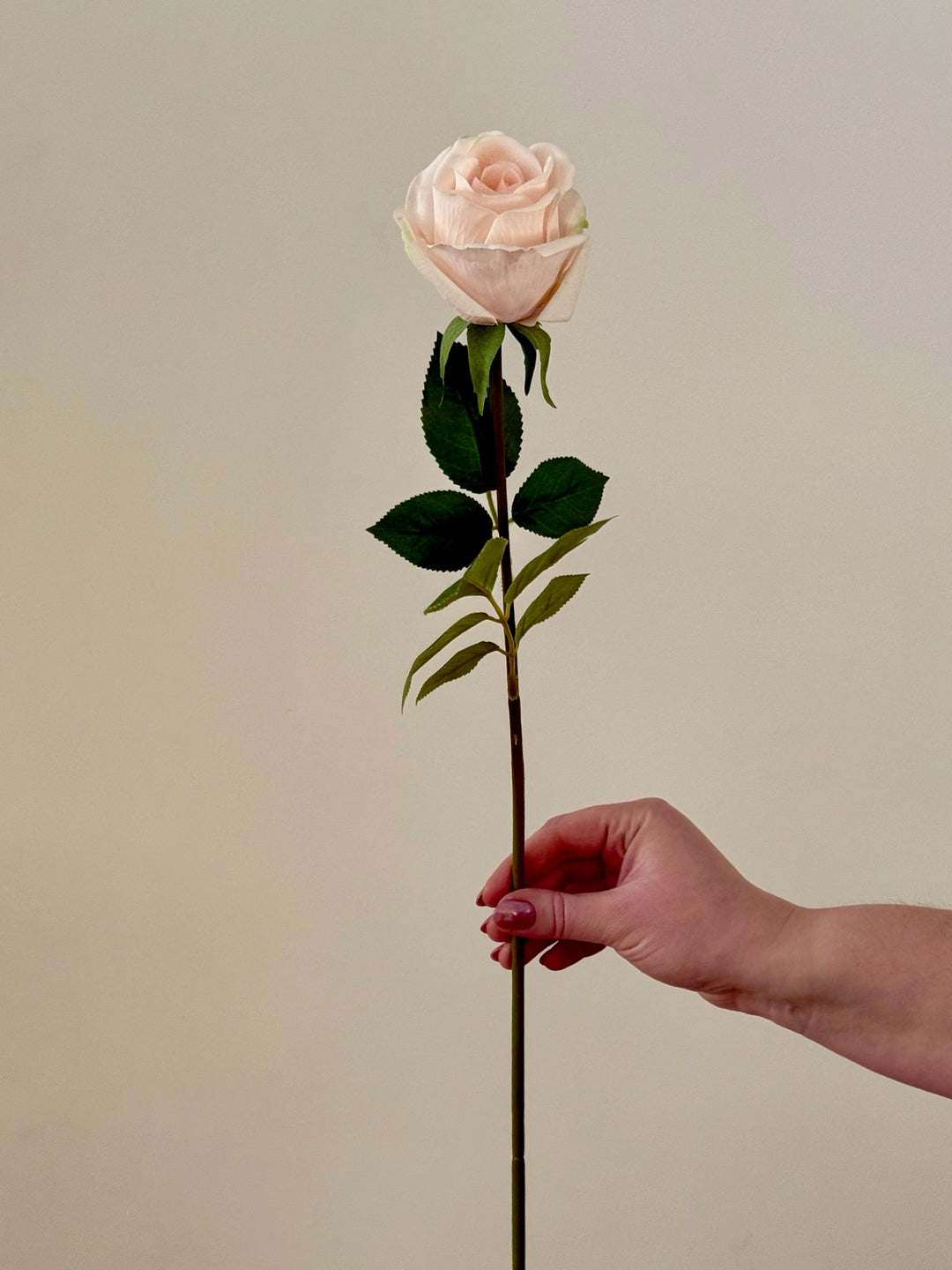 Real Touch Classic Rose