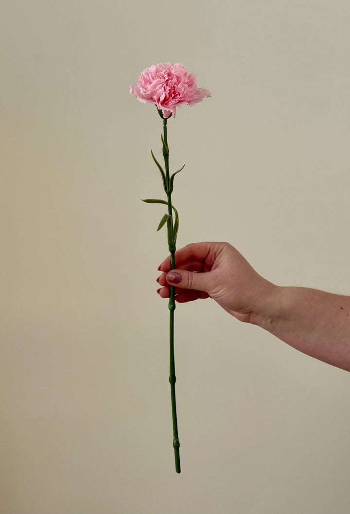 Real Touch Carnation