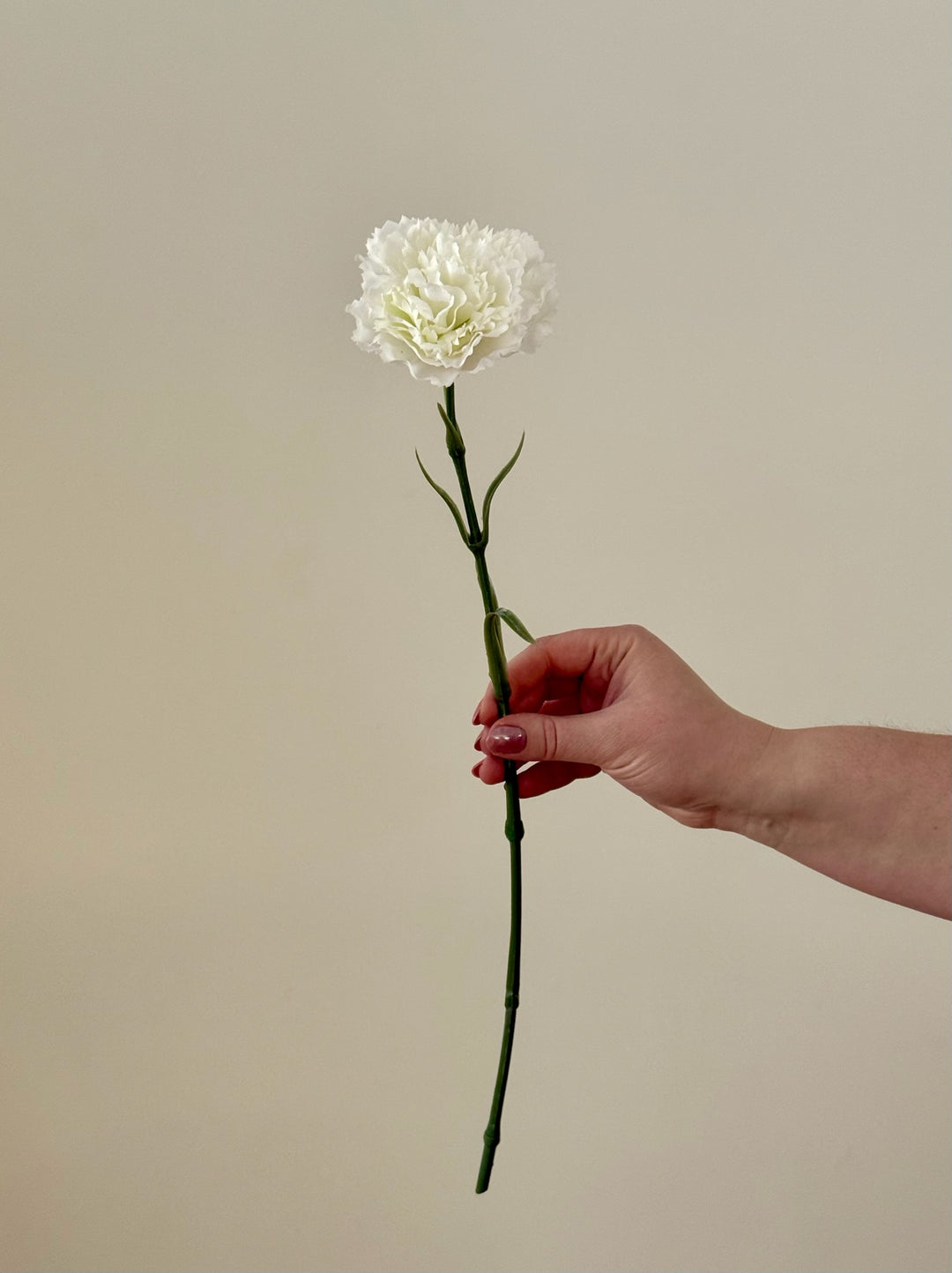 Real Touch Carnation