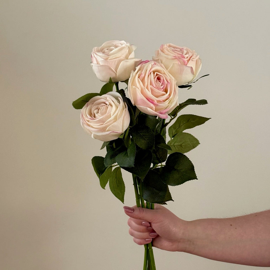 Bouquet of pink roses held by a hand against a plain background