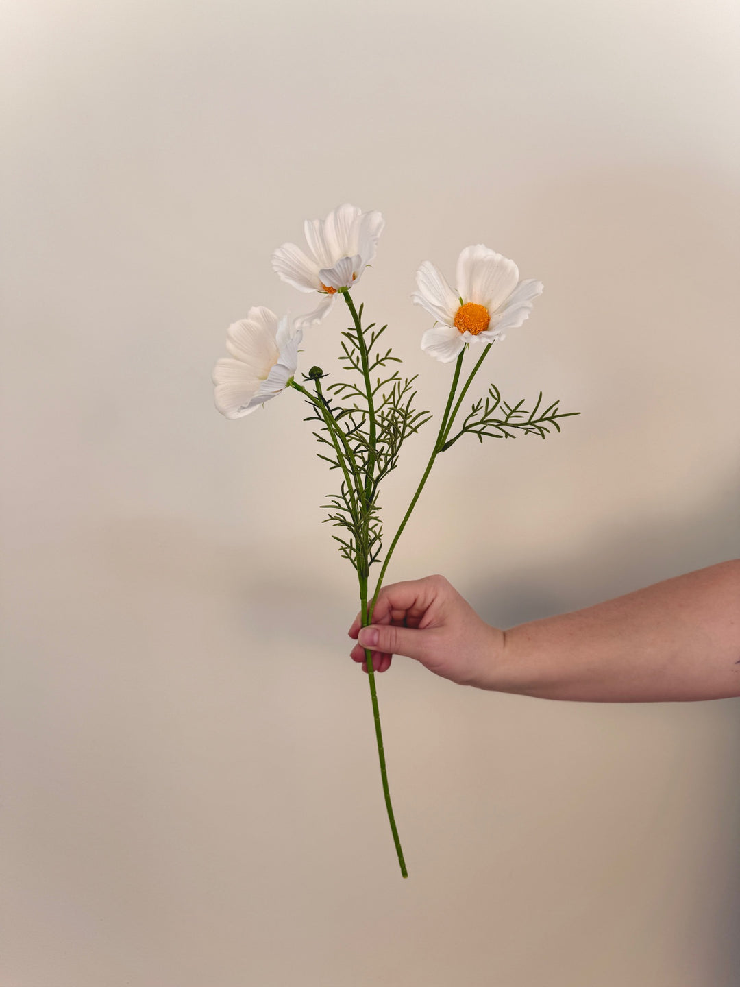 Real Touch Cosmos