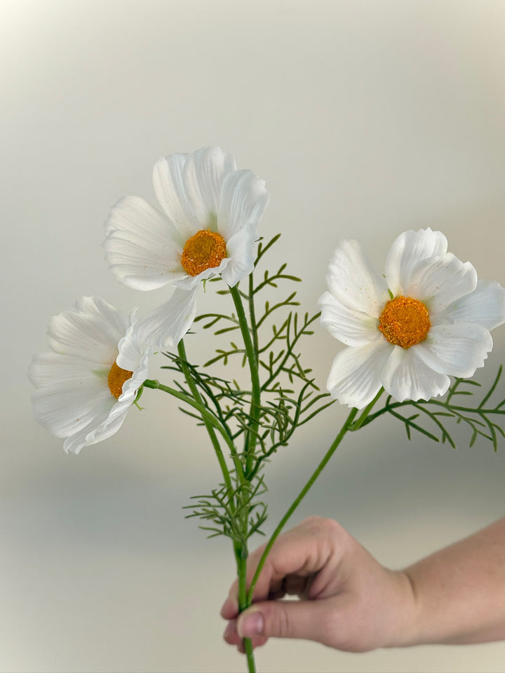 Real Touch Cosmos