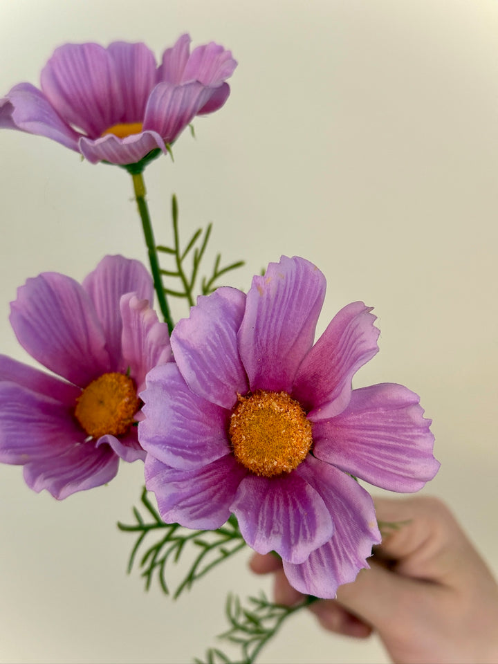 Real Touch Cosmos