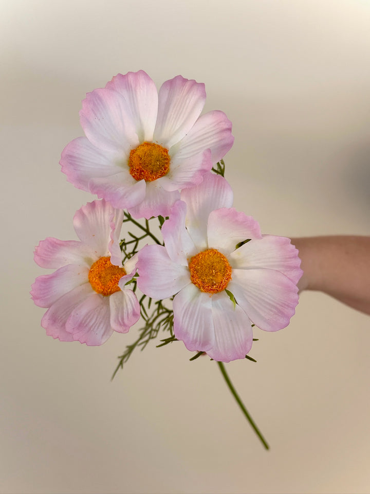 Real Touch Cosmos