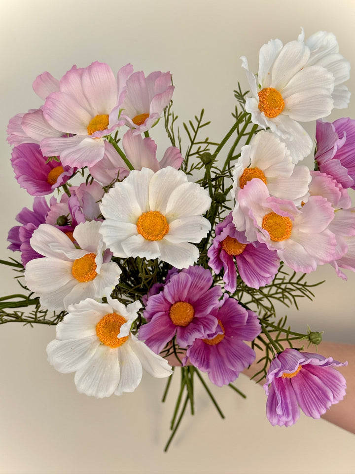 Real Touch Cosmos
