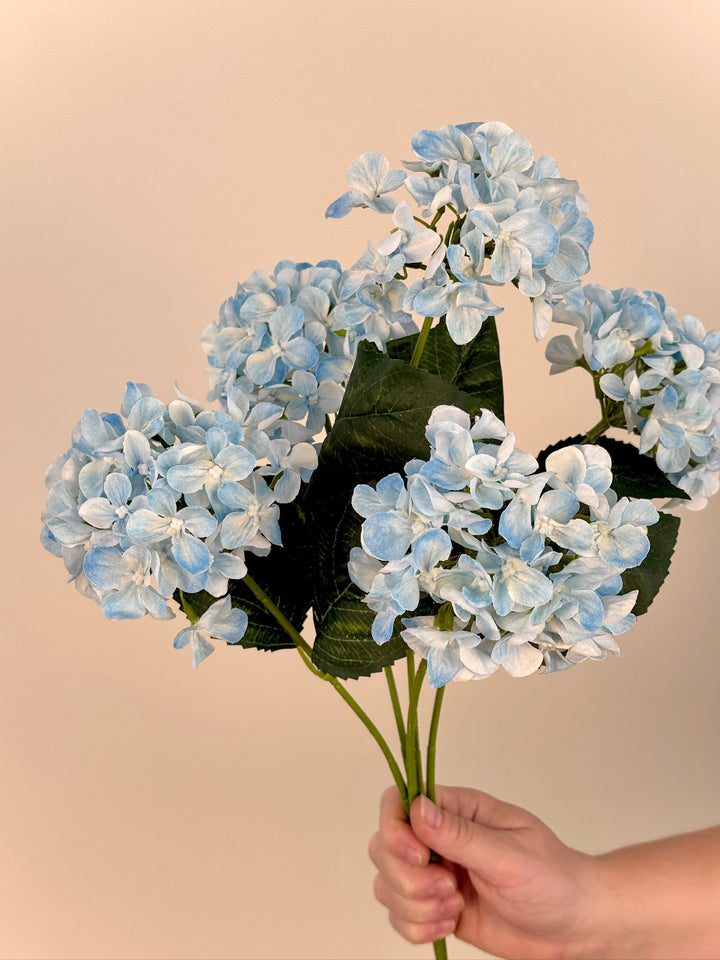 Hydrangea Bundle