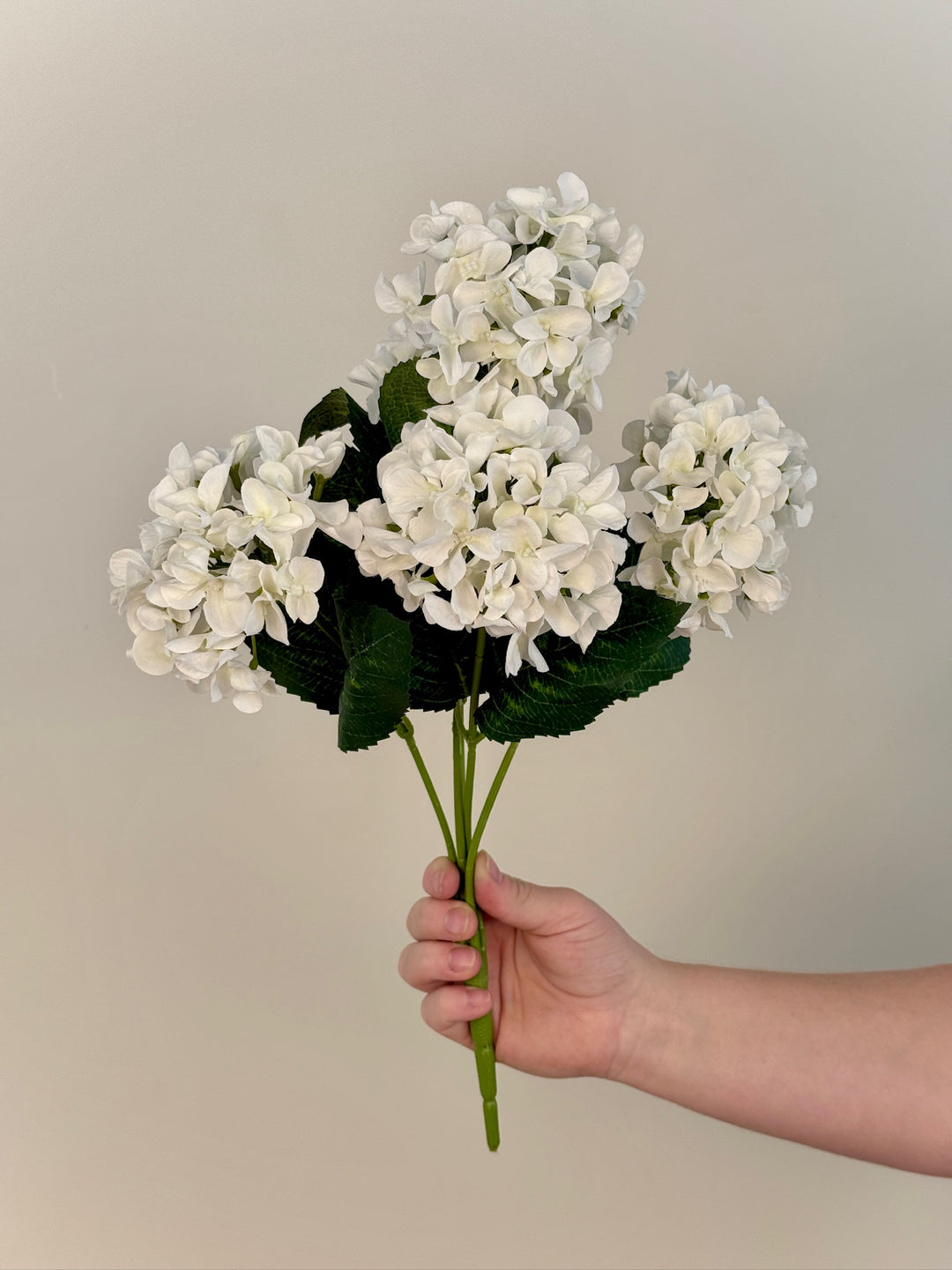 Hydrangea Bundle