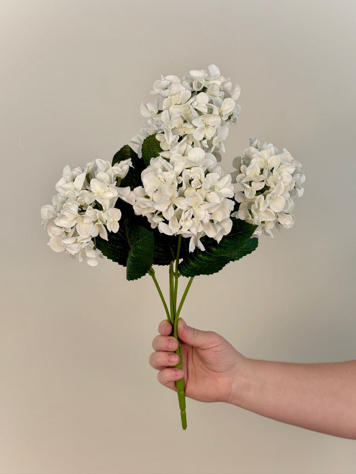 Hydrangea Bundle
