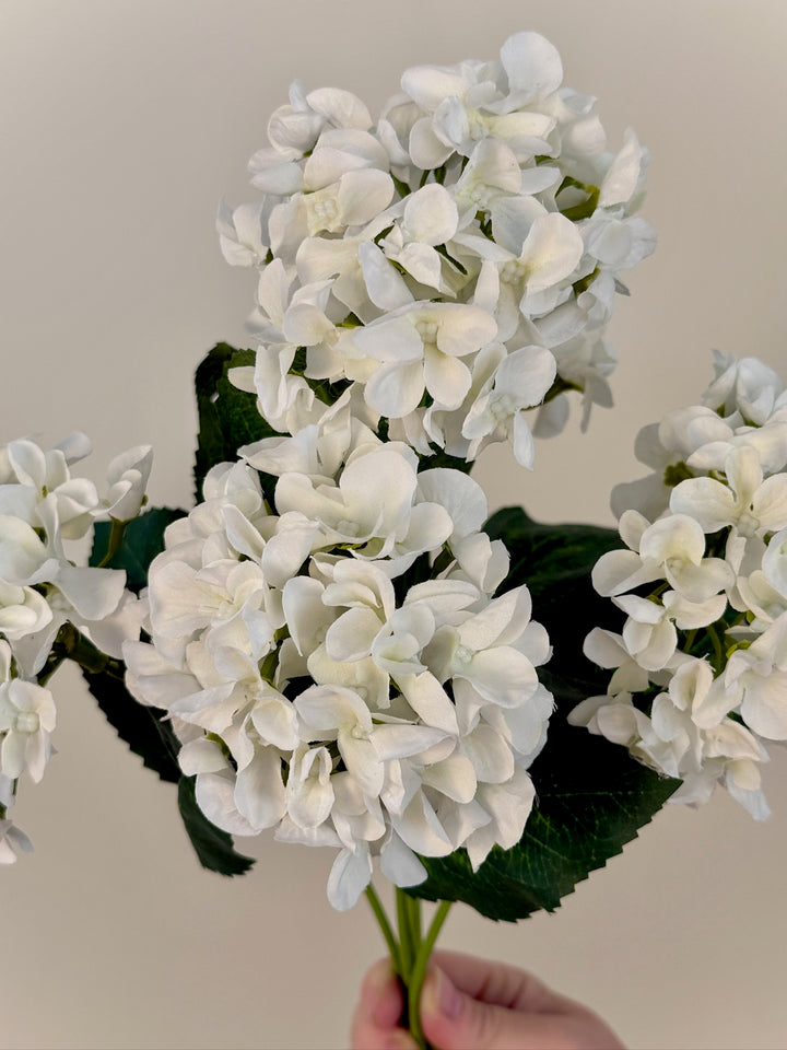 Hydrangea Bundle