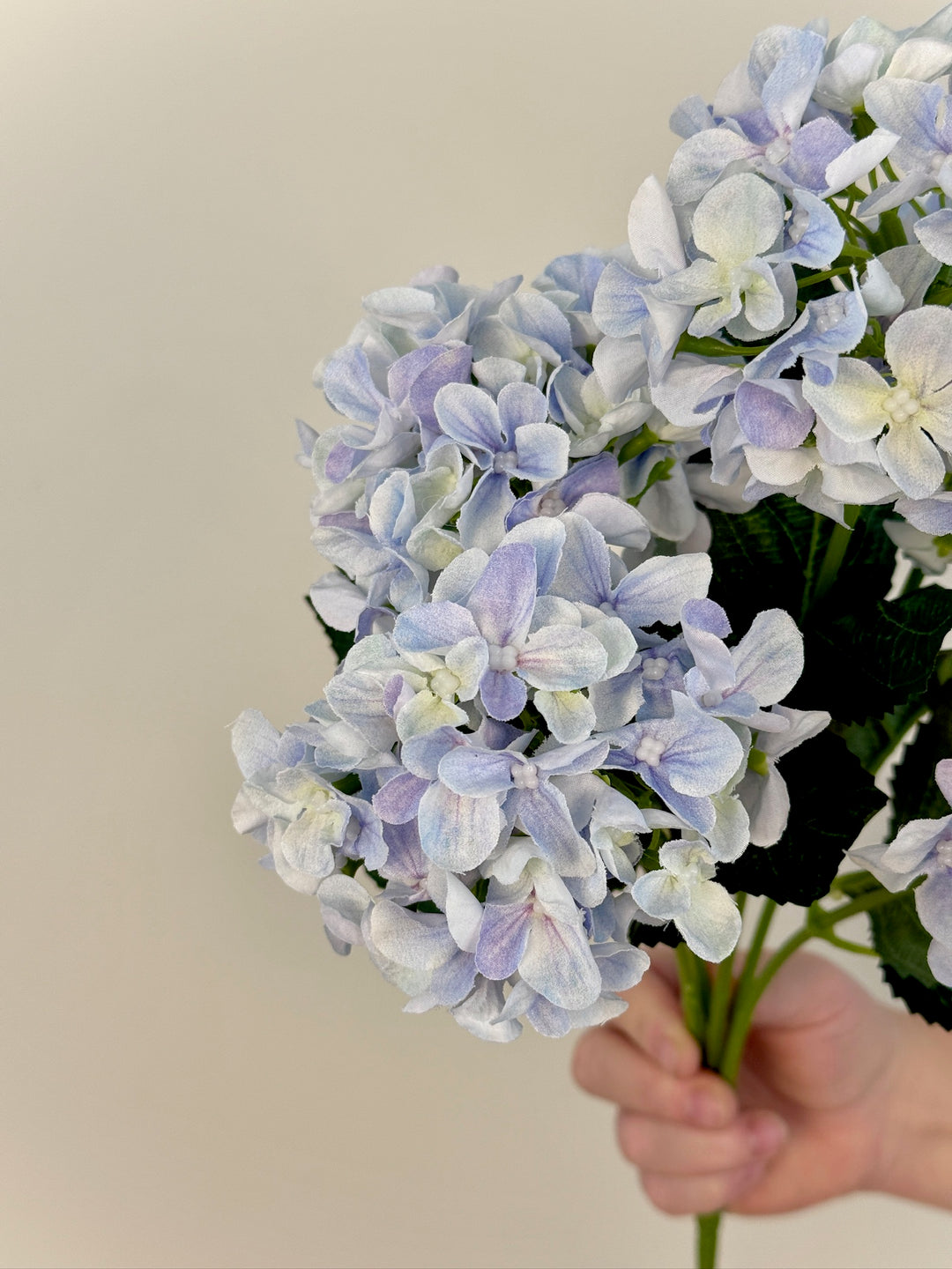 Hydrangea Bundle