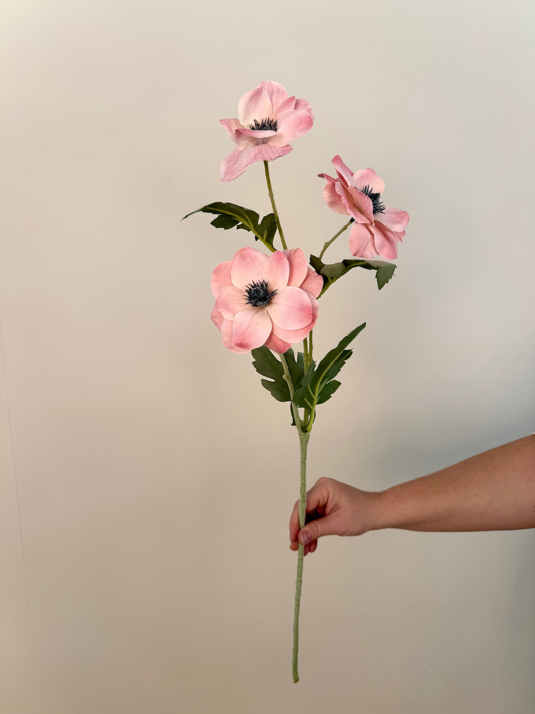 Anenome Flower