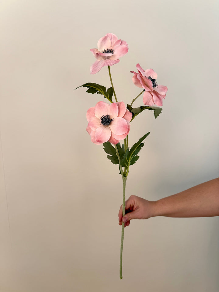 Anenome Flower