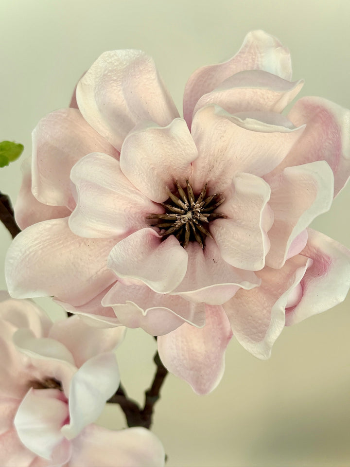Small Real Touch Magnolia