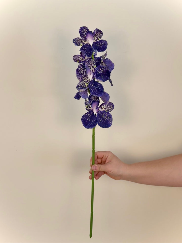 Real Touch Orchid