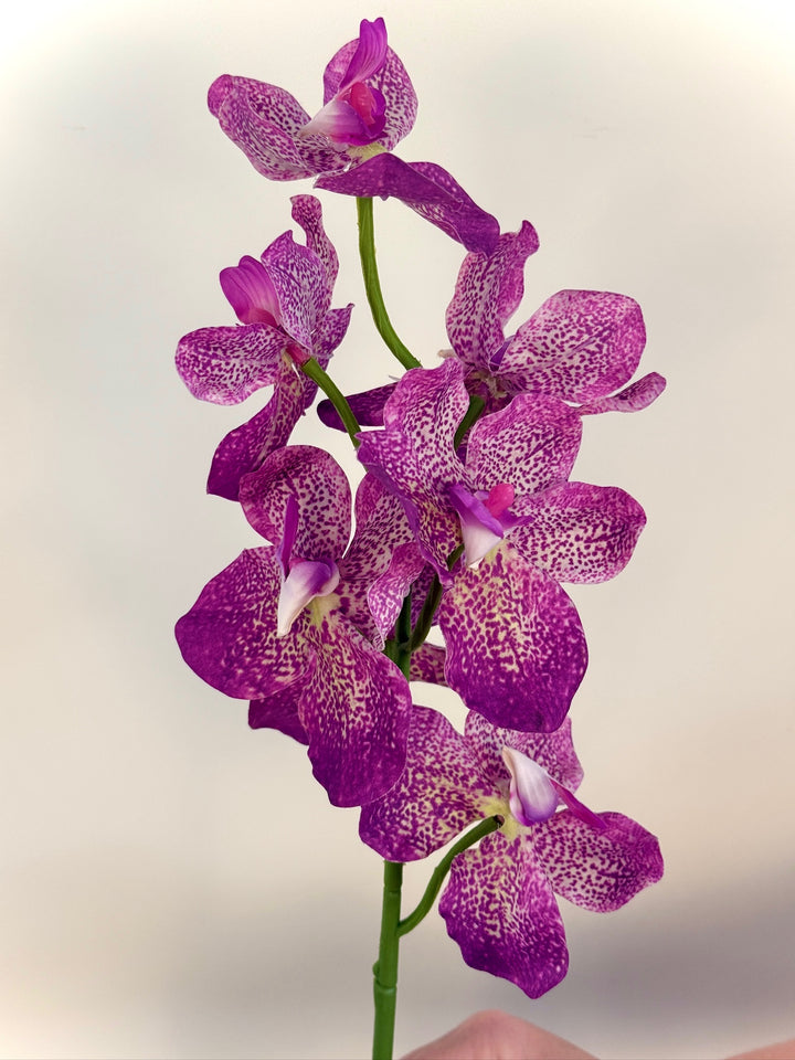Real Touch Orchid