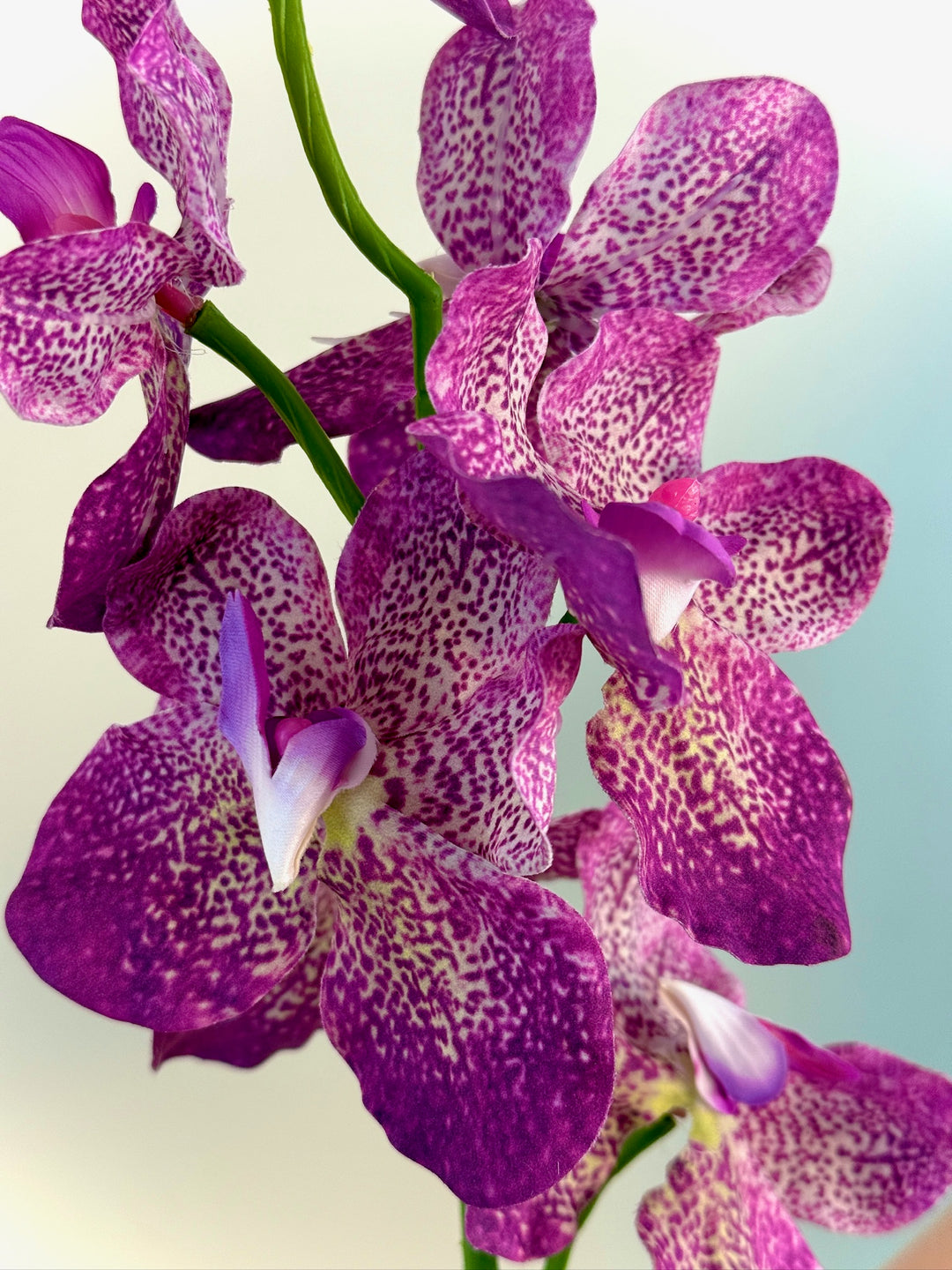 Real Touch Orchid