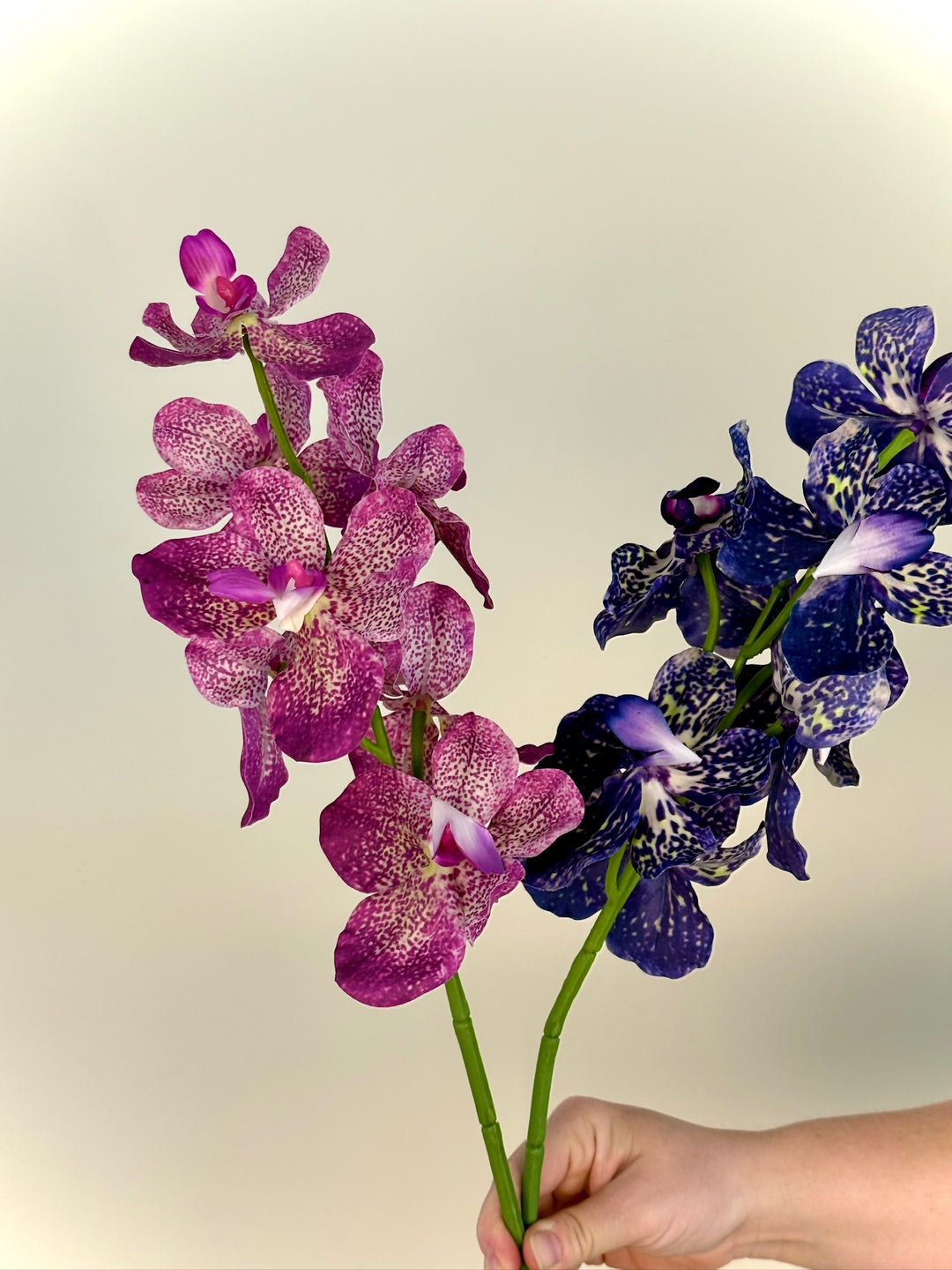 Real Touch Orchid