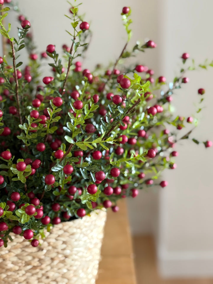 Cranberry Stem