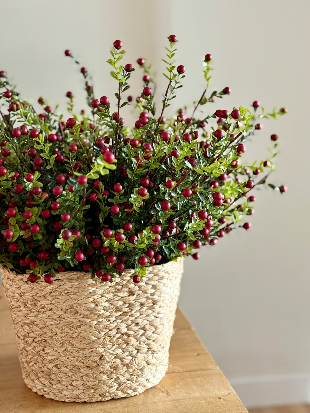 Cranberry Stem