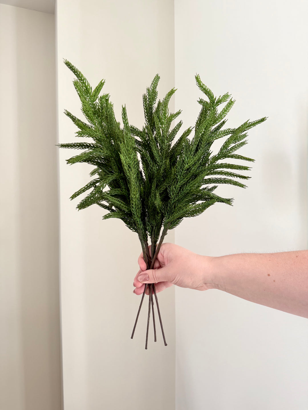Norfolk and Cedar Bundles