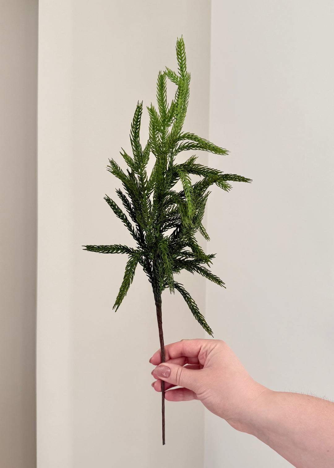 Norfolk and Cedar Bundles