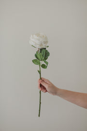 Soft Touch White Rose